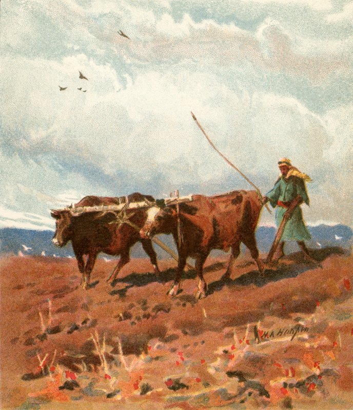 Arar de Henry Andrew Harper