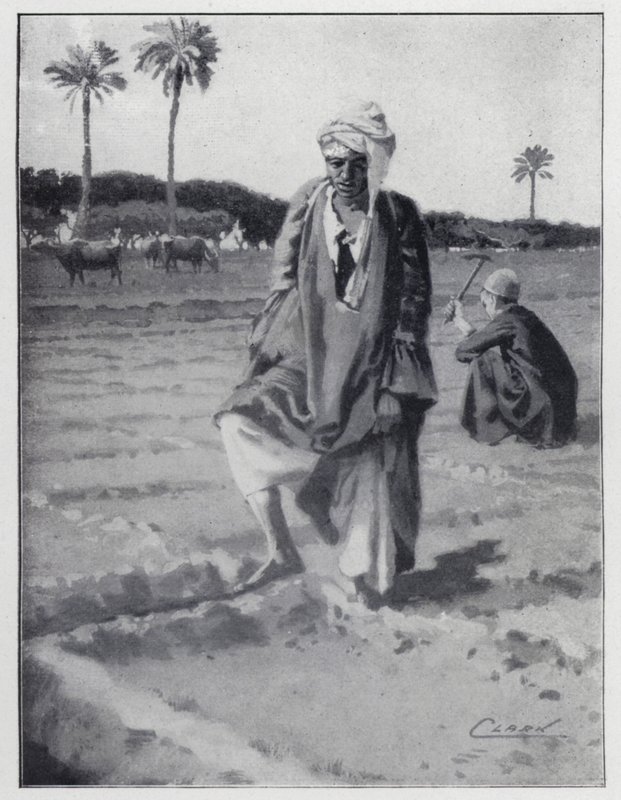 Regar com o pé em Gizeh, Egipto (litho) de Henry Andrew Harper