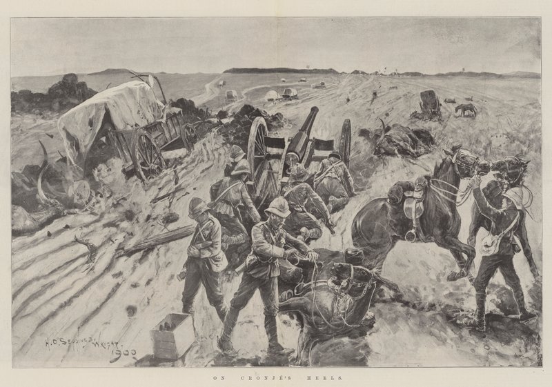 Nos calcanhares de Cronje de Henry Charles Seppings Wright