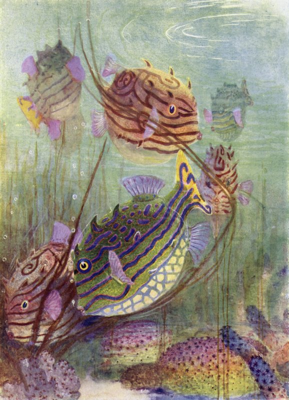 O Peixeiro dos Mares de Coral de Henry Charles Seppings Wright