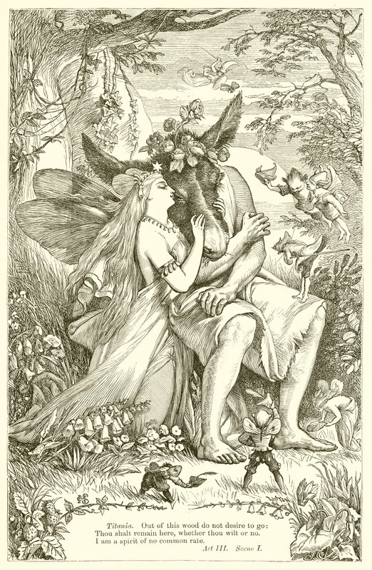 Sonho de uma Noite de Verão de Henry Courtney Selous