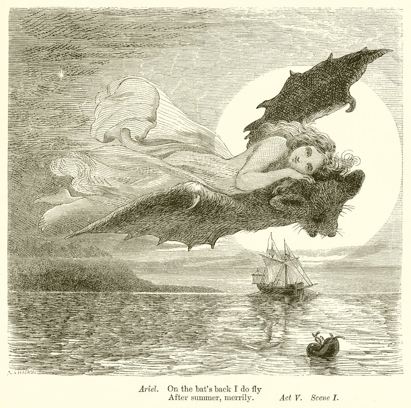 A tempestade de Henry Courtney Selous