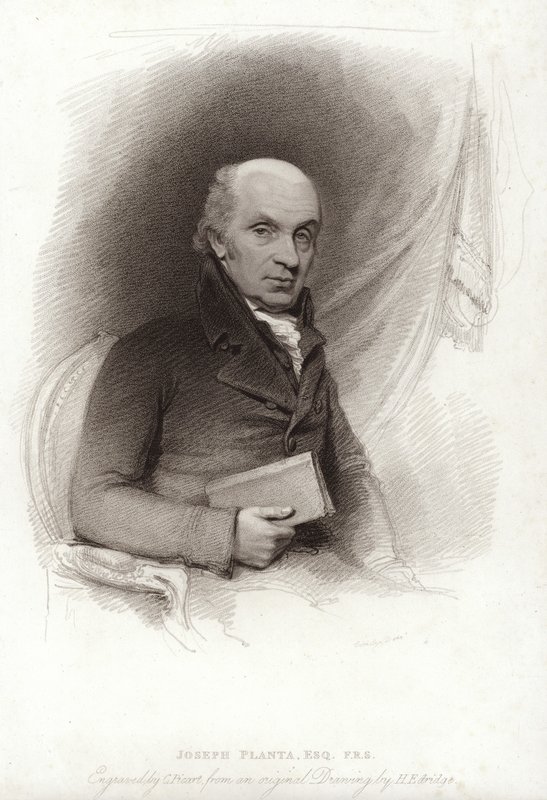 Planta de José de Henry Edridge
