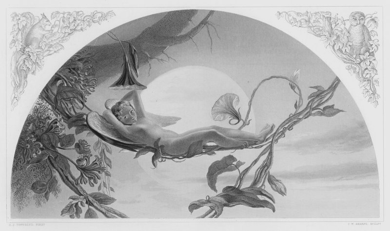 Ariel, da foto da Coleção Real (gravura) de Henry James Townsend