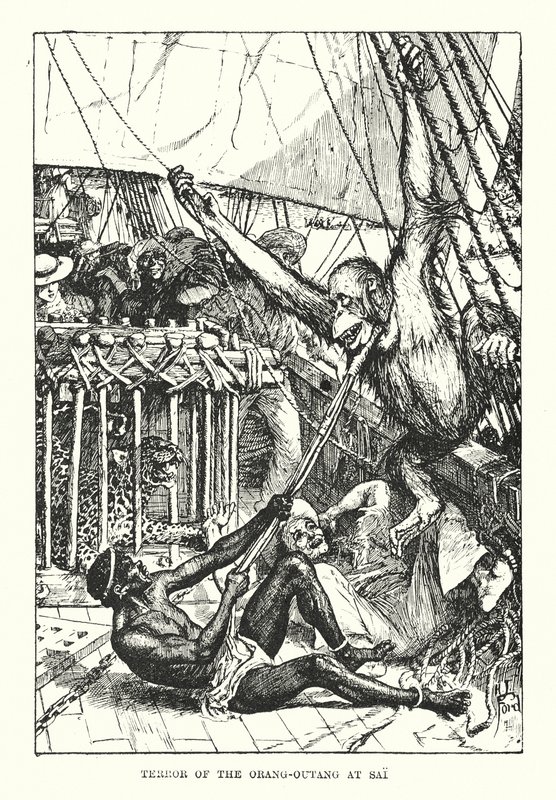 Terror do orangotango em Sai (gravura) de Henry Justice Ford
