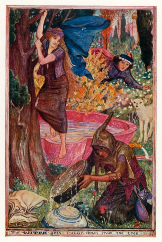 A Bruxa tira Pulga da árvore (cor litho) de Henry Justice Ford