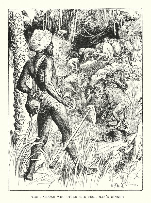 Os babuínos que roubaram o jantar do pobre homem (gravura) de Henry Justice Ford