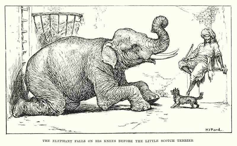 O elefante ajoelha-se perante o pequeno Scotch Terrier (gravura) de Henry Justice Ford