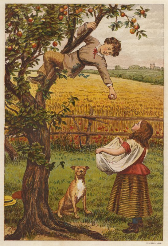 Colhendo maçãs (lito colorido) de Henry Robert Robertson