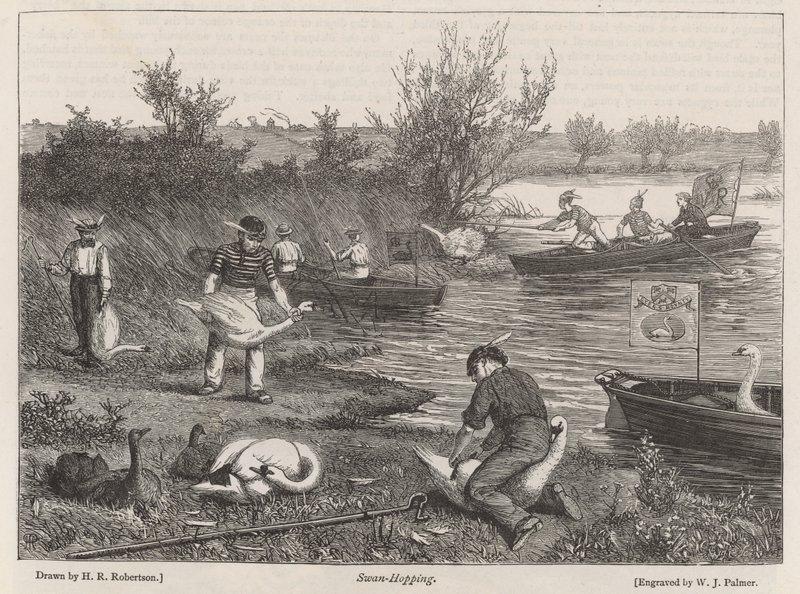 Swan-Hopping de Henry Robert Robertson