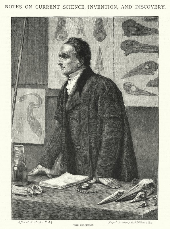O Professor (gravura) de Henry Stacey (after) Marks