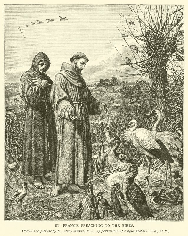 São Francisco pregando aos pássaros de Henry Stacey Marks