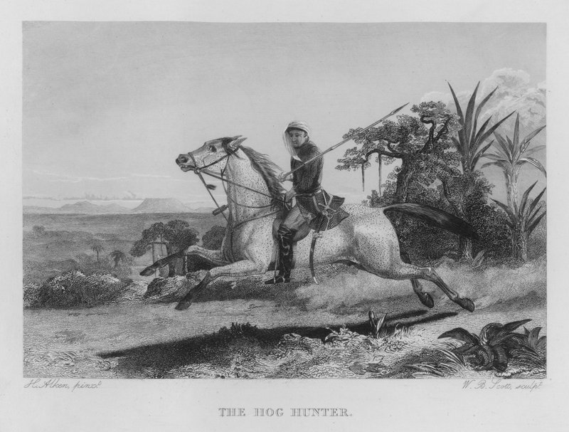 The Hog Hunter (gravura) de Henry Thomas (after) Alken