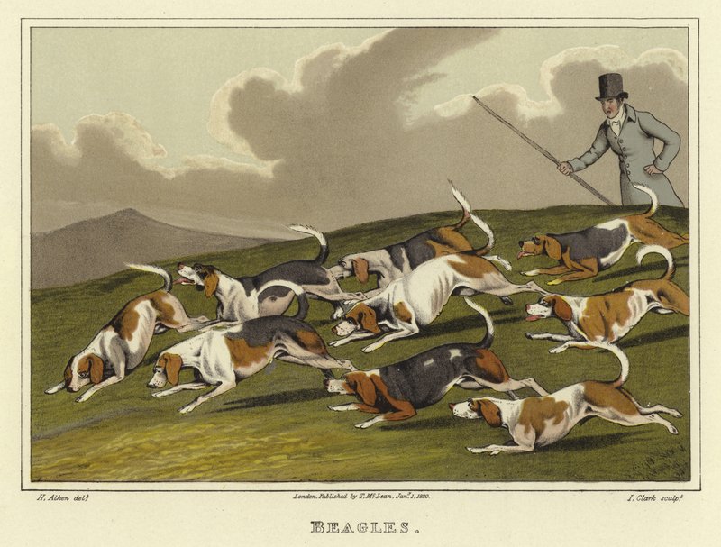 Beagles (cromolitho) de Henry Thomas Alken