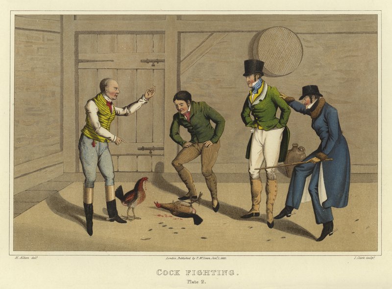 Galo Lutando (cromolitho) de Henry Thomas Alken