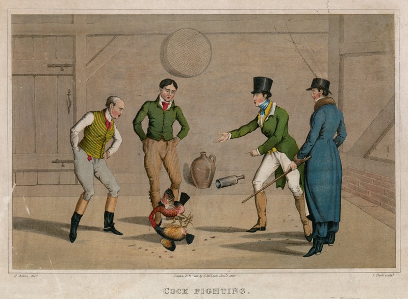 Briga de galo de Henry Thomas Alken