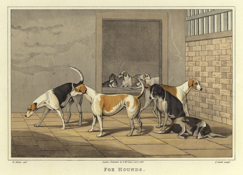 Fox Hounds (cromolitho) de Henry Thomas Alken