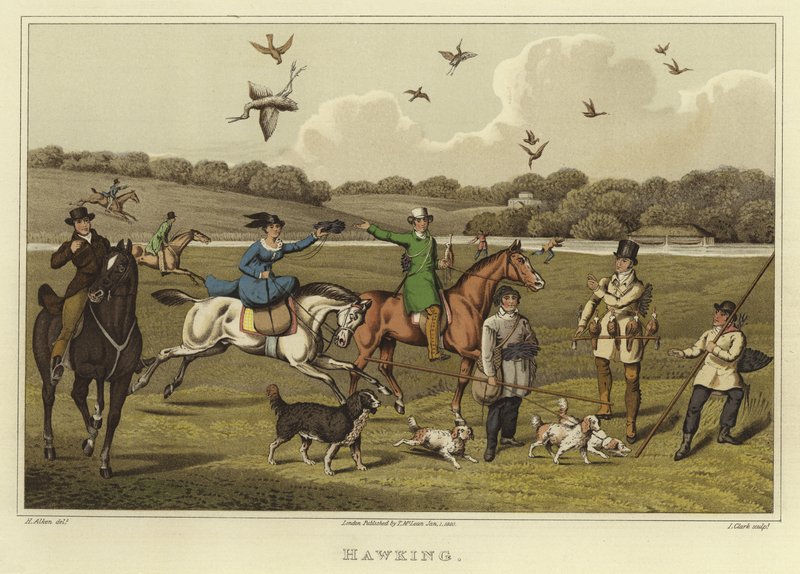 Hawking (cromolitho) de Henry Thomas Alken