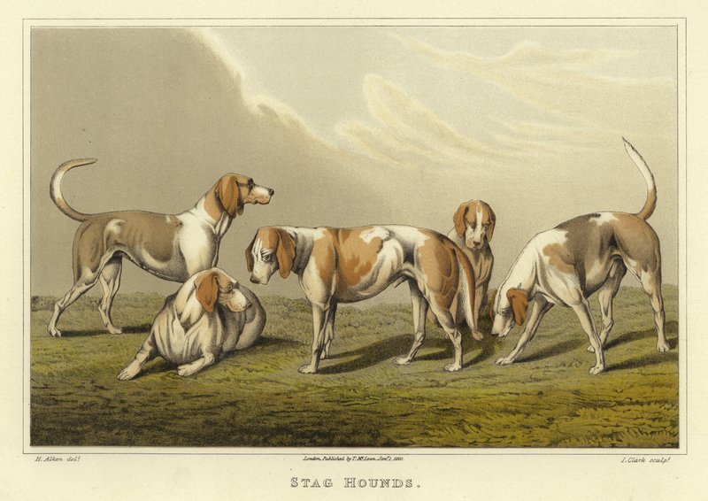 Stag Hounds (cromolitho) de Henry Thomas Alken