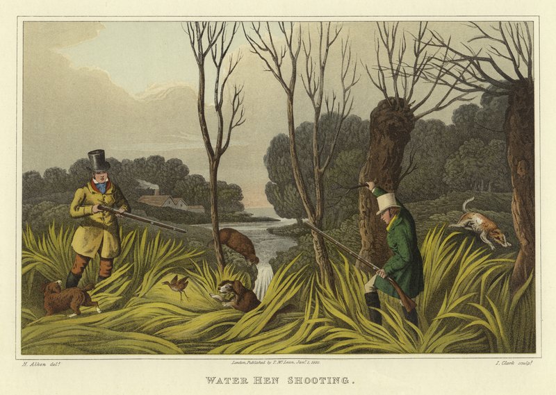 Tiro de galinha da água (chromolitho) de Henry Thomas Alken