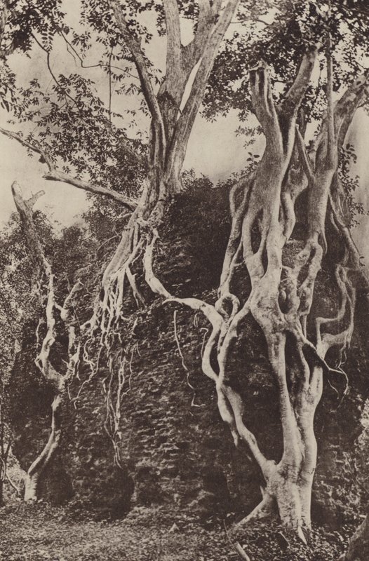 As cidades em ruínas do Ceilão: Kotuwa (foto B/W) de Henry W. Cave