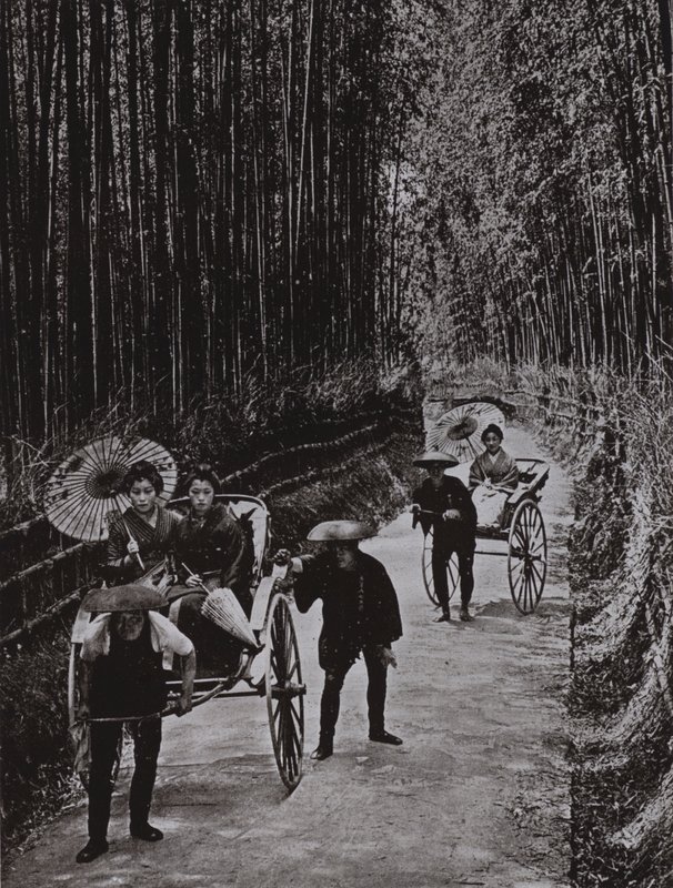 Uma Avenida Bamboo em Kyoto (foto a p/b) de Herbert Ponting