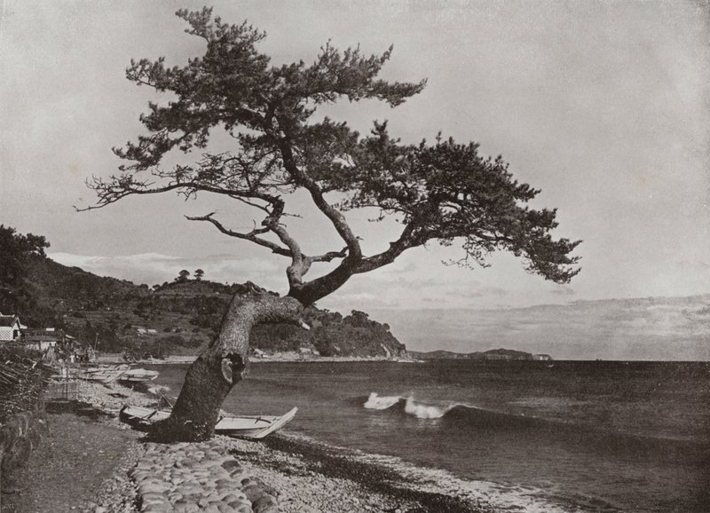 Atami (foto a p/b) de Herbert Ponting