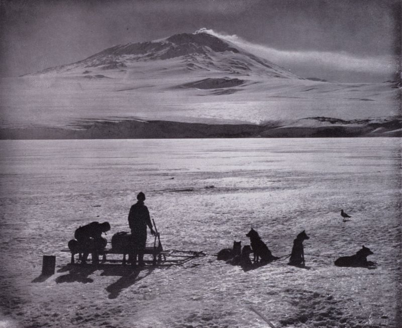 Cães e marretas, com o Monte Erebus ao fundo (foto a p/b) de Herbert Ponting