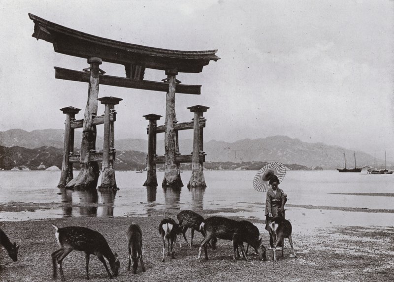 A velha Torii em Miyajima (foto a p/b) de Herbert Ponting