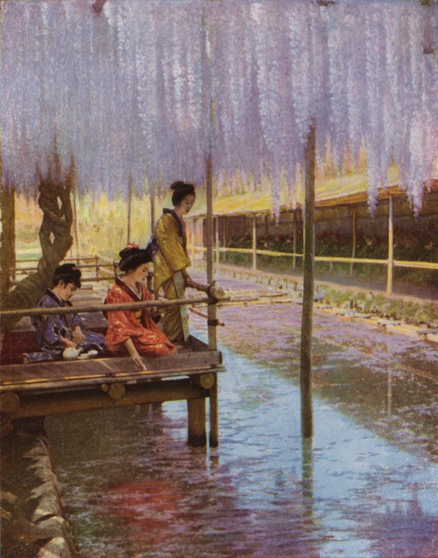 Sob as Wistarias Púrpura (foto) de Herbert Ponting