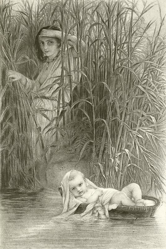 Moisés nos juncos (gravura) de Hippolyte Delaroche