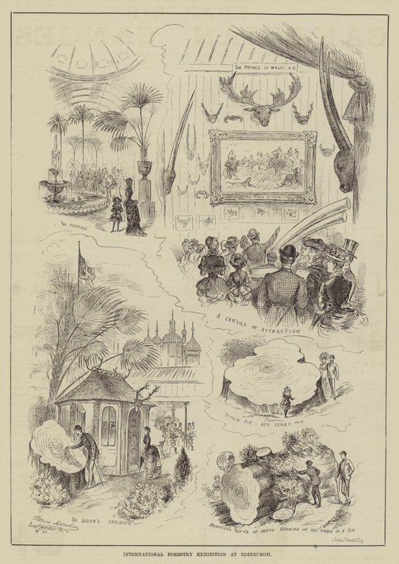 Exposição Internacional de Silvicultura em Edimburgo de Horace Morehen