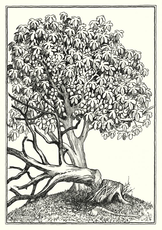 Ilustração para O Sermão da Montanha (gravura) de Horace J. Knowles