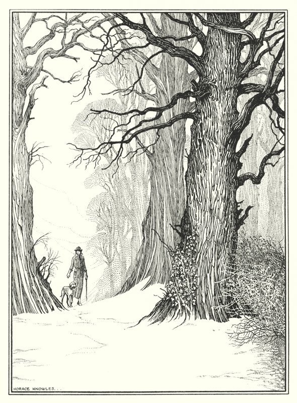 janeiro (litografia) de Horace J. Knowles