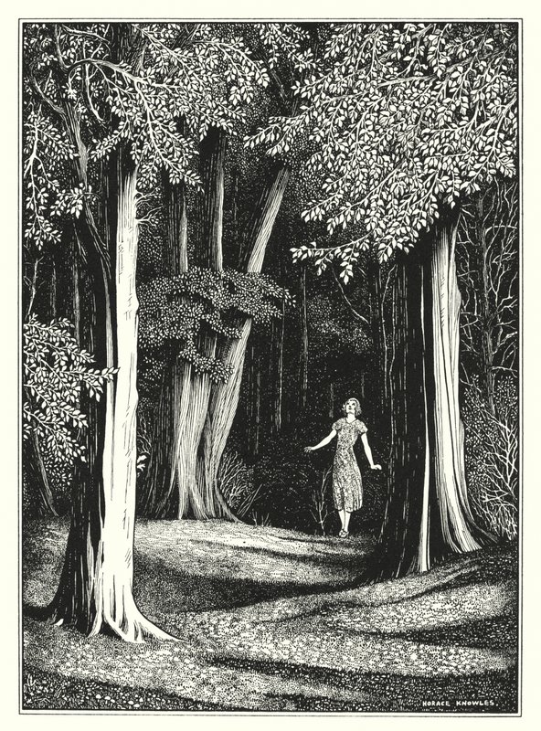 julho (litografia) de Horace J. Knowles