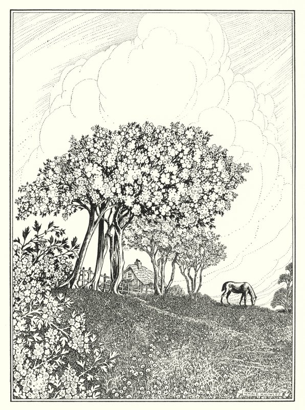 maio (litografia) de Horace J. Knowles