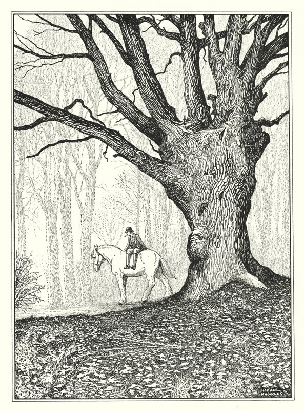 novembro (litografia) de Horace J. Knowles