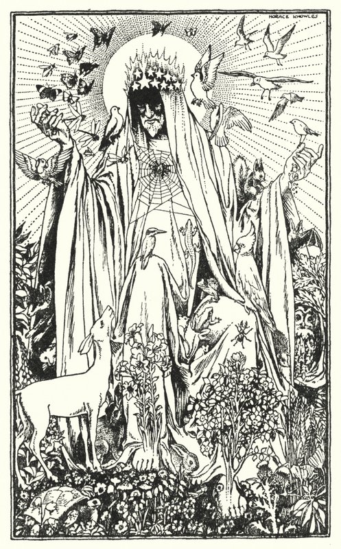 Pássaro-de-peito-vermelho (litografia) de Horace J. Knowles