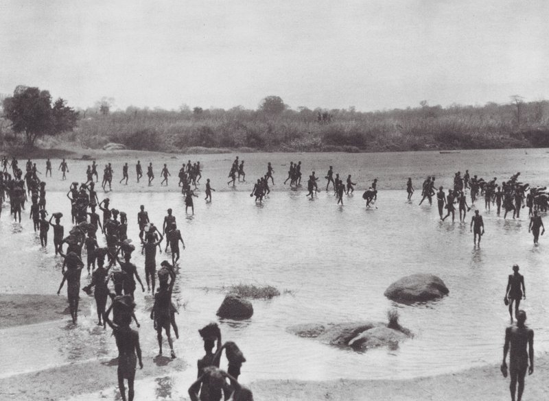 África: Morus a construir uma ponte perto de Amadi (fotografia a preto e branco) de Hugo Adolf Bernatzik