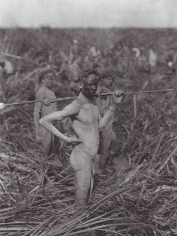 África: Guerreiros Nuer no pântano (fotografia a preto e branco) de Hugo Adolf Bernatzik