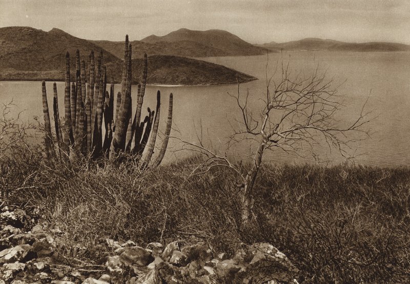 México: Perto da costa da Baixa Califórnia (fotografia a preto e branco) de Hugo Brehme