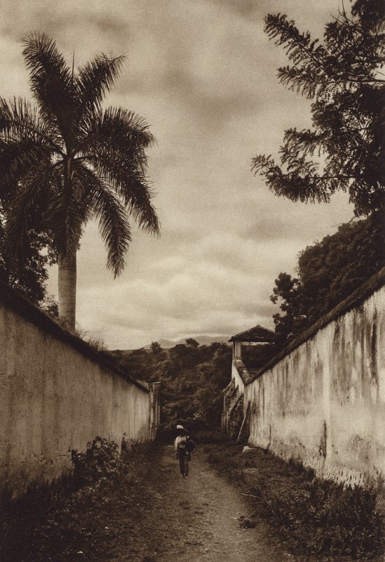 México: Cuernavaca, Rua que conduz à aldeia de San Antonio (Fotografia p/b) de Hugo Brehme