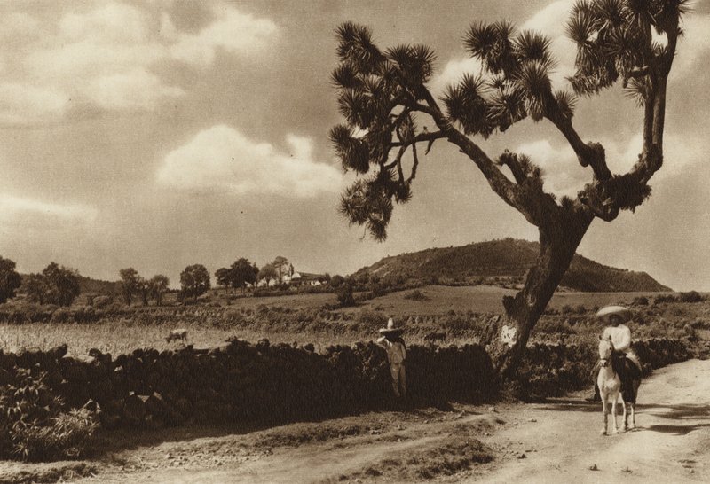 México: Patzcuaro, El Calvario, Estado de Michoacan (fotografia a preto e branco) de Hugo Brehme