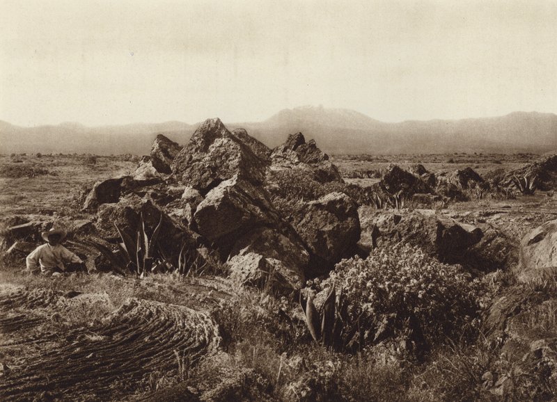 Mexico: Pedregal, Corriente de basalto-lava cerca de San Angel (b/w photo) de Hugo Brehme