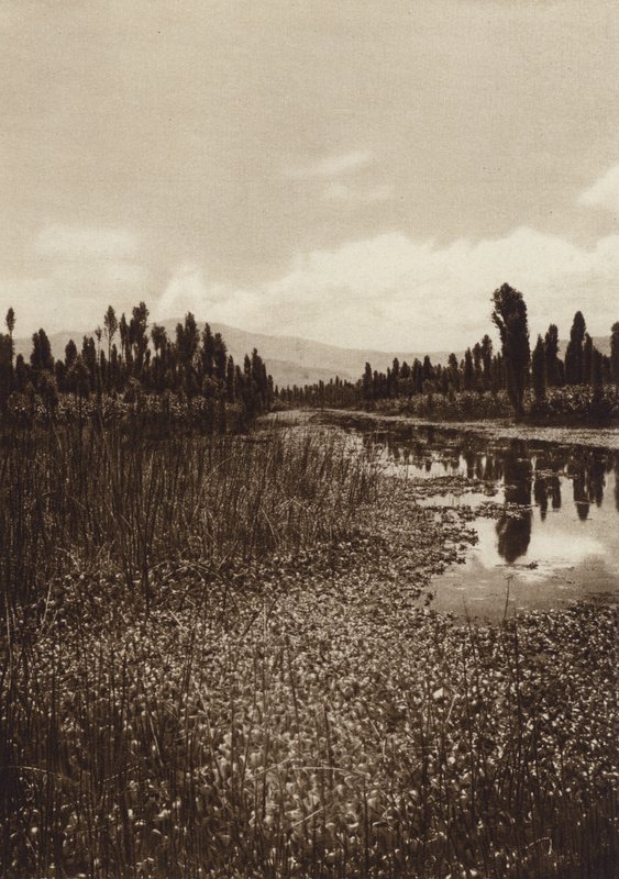 México: Xochimilco, um dos principais canais (fotografia a preto e branco) de Hugo Brehme