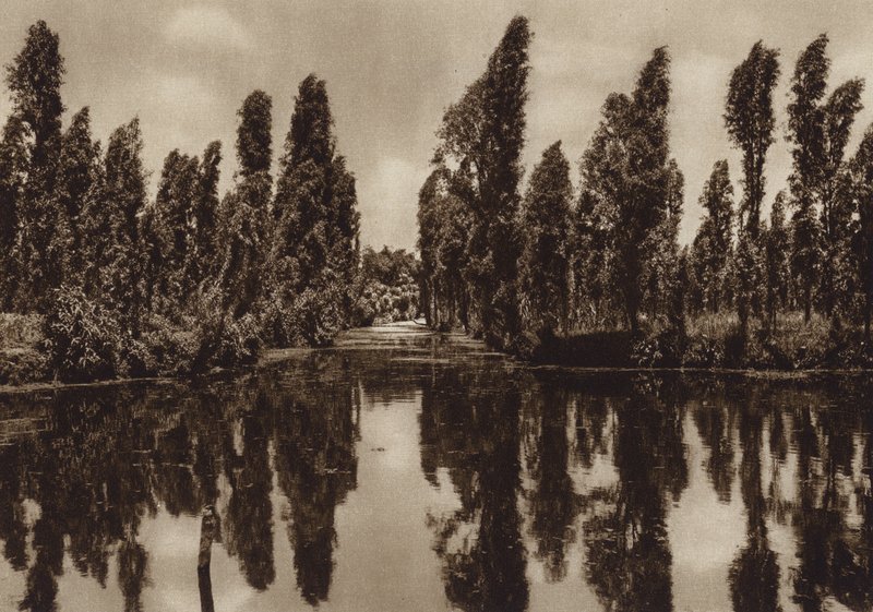 México: Xochimilco com os chamados "Jardins Flutuantes" (fotografia a preto e branco) de Hugo Brehme