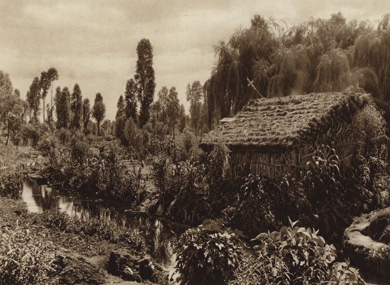México: Xochimilco com os chamados "Jardins Flutuantes" (fotografia a preto e branco) de Hugo Brehme