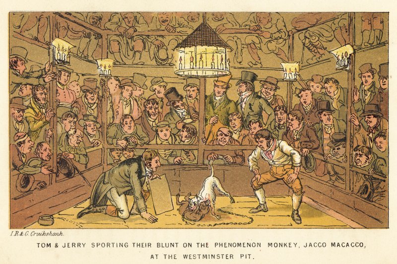 Tom e Jerry ostentando sua contundente no macaco fenômeno, Jacco Macacco, no poço de Westminster de Isaac, Robert and George Cruikshank