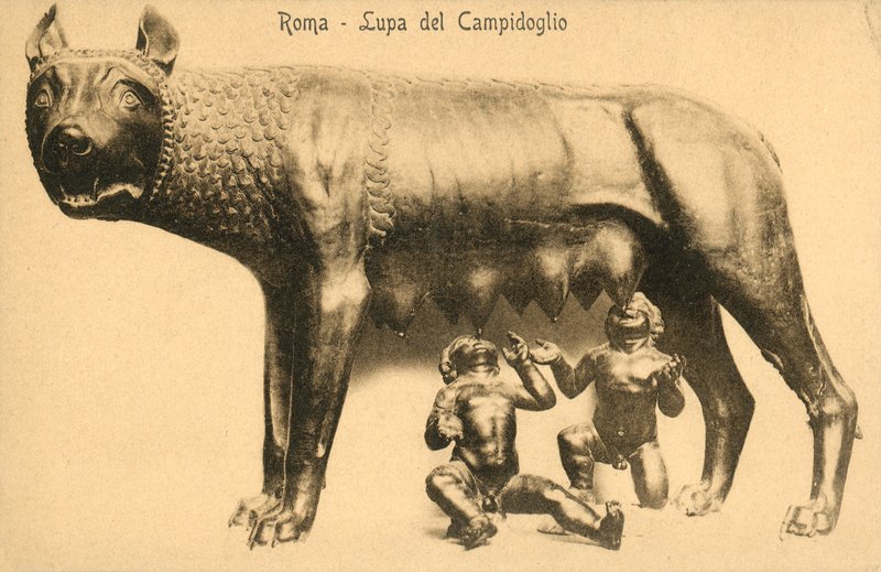 Roma, lobo de Campidoglio de Italian Photographer