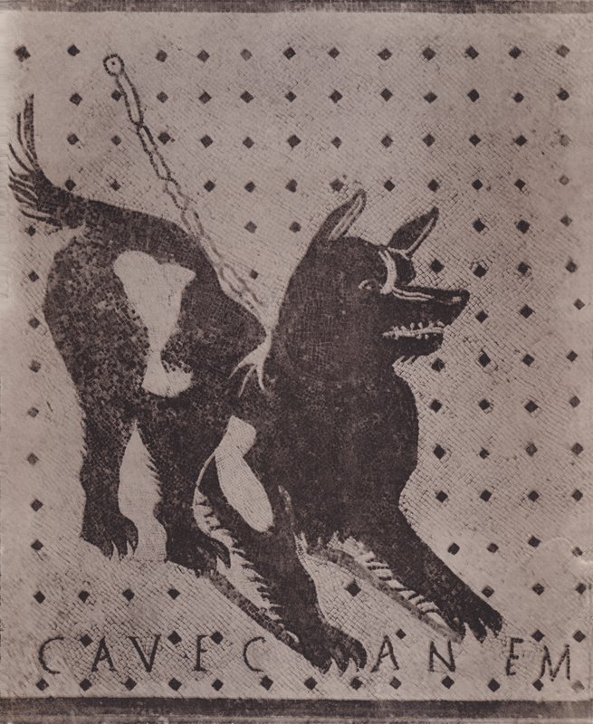 Mosaico, Cave Canem, Mosaico, Cave Canem (foto a p/b) de Italian Photographer